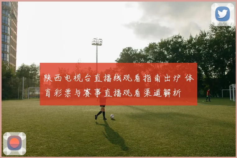 陕西电视台直播线观看指南出炉 体育彩票与赛事直播观看渠道解析