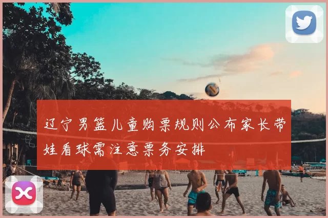 辽宁男篮儿童购票规则公布家长带娃看球需注意票务安排