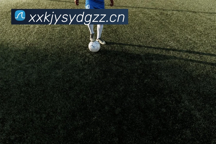 YY易游体育(中国)官方网站APP 高清赛事图